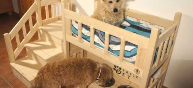 Обустройство места для кошек и собак в комнате