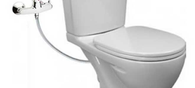 Марки унитазов с биде – какую выбрать?