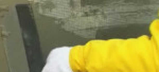 Виды и свойства шпатлевочных смесей