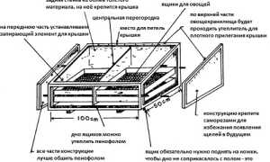 Ящик для хранения овощей на балконе – замена холодильника