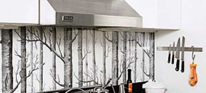 Идеи дизайна кухни с фотообоями