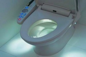 Унитаз автоматического типа