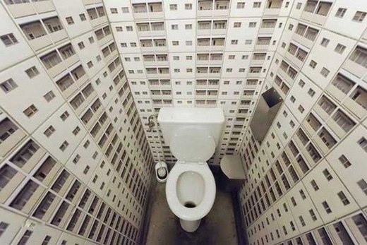 Моющиеся обои с фотопечатью в туалете