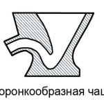 С чашей в форме воронки образуются брызги