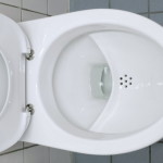 Разновидность чаши унитаза