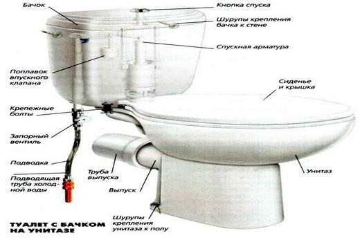 Схема подключения к потолочному унитазу сливного бачка современного вида