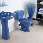 Яркий туалет