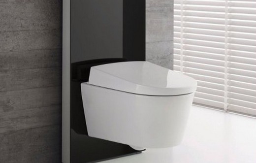Фотография унитаза-биде Geberit AquaClean Sela