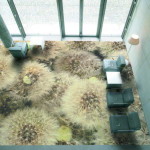 Пол полимерный