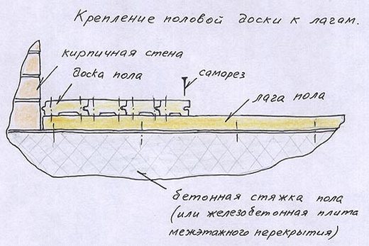 На схеме изображено, как прикрепляется половица